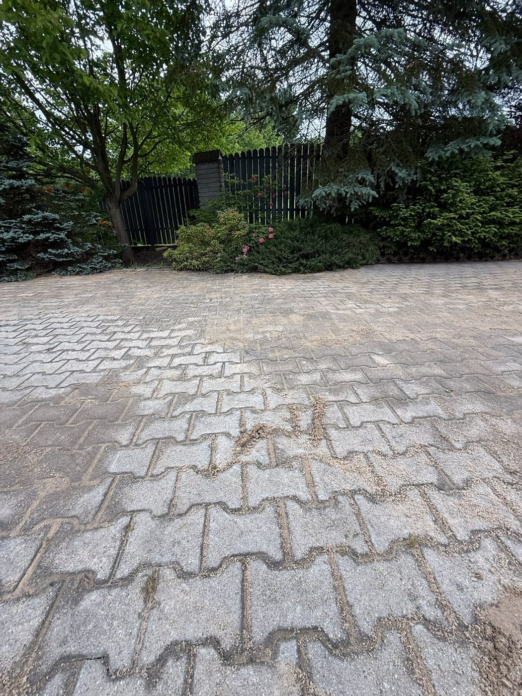 Kostka brukowa przed czyszczeniem — mech i zabrudzenia