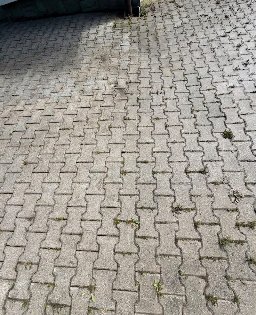 Kostka przed czyszczeniem — zabrudzenia i mech