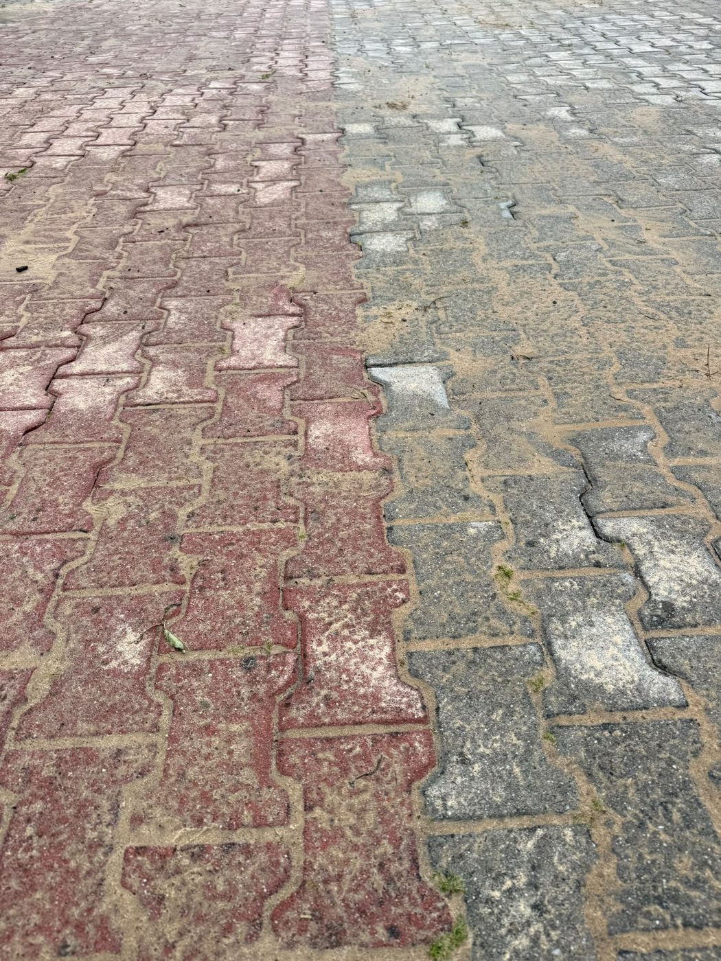 Podjazd przed czyszczeniem — mech w spoinach